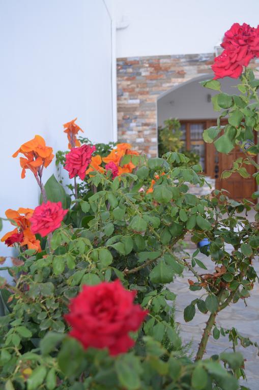 Tarsanas Beach Kokkari Zewnętrze zdjęcie